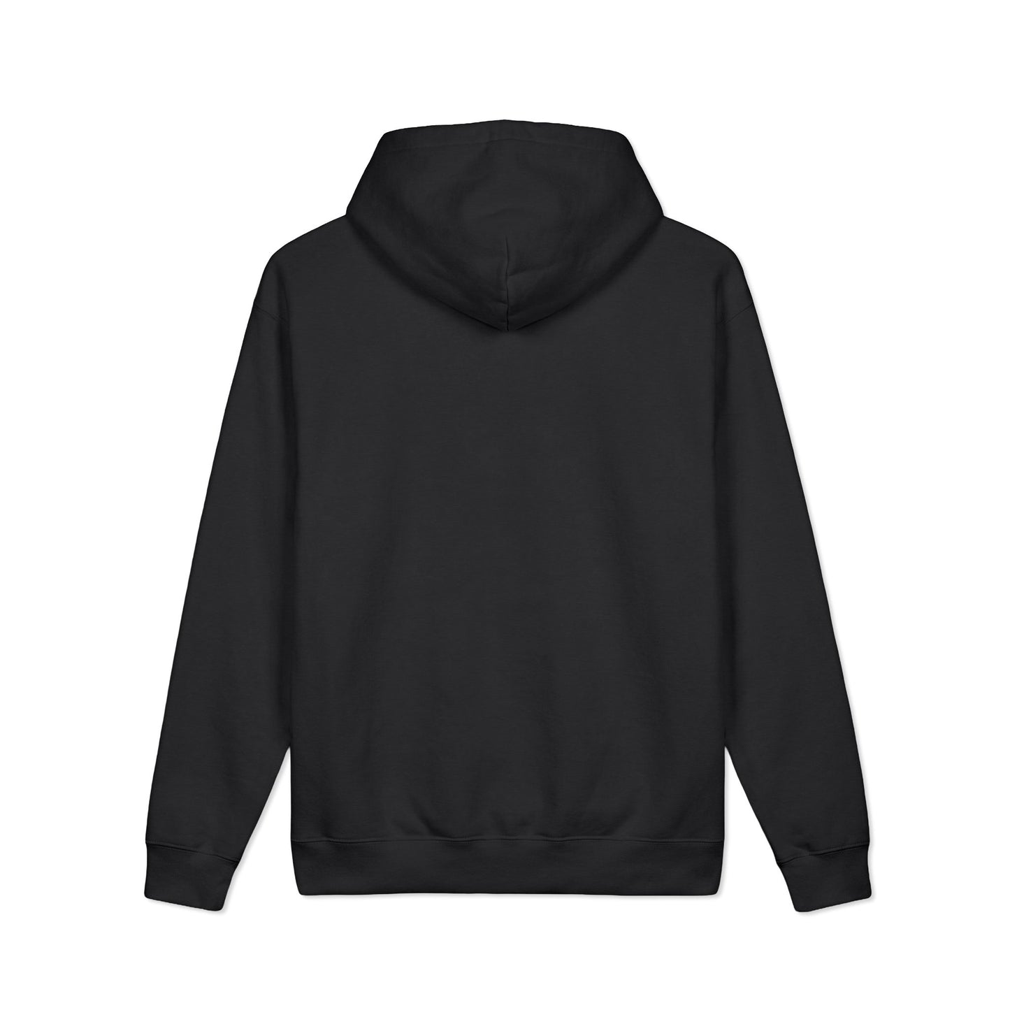Christian Sober Living Hoodie — "Living sober by the grace of GOD" Faith Hoodie