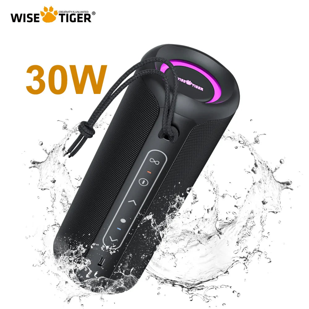 WISETIGER P3 Portable Bluetooth Speaker