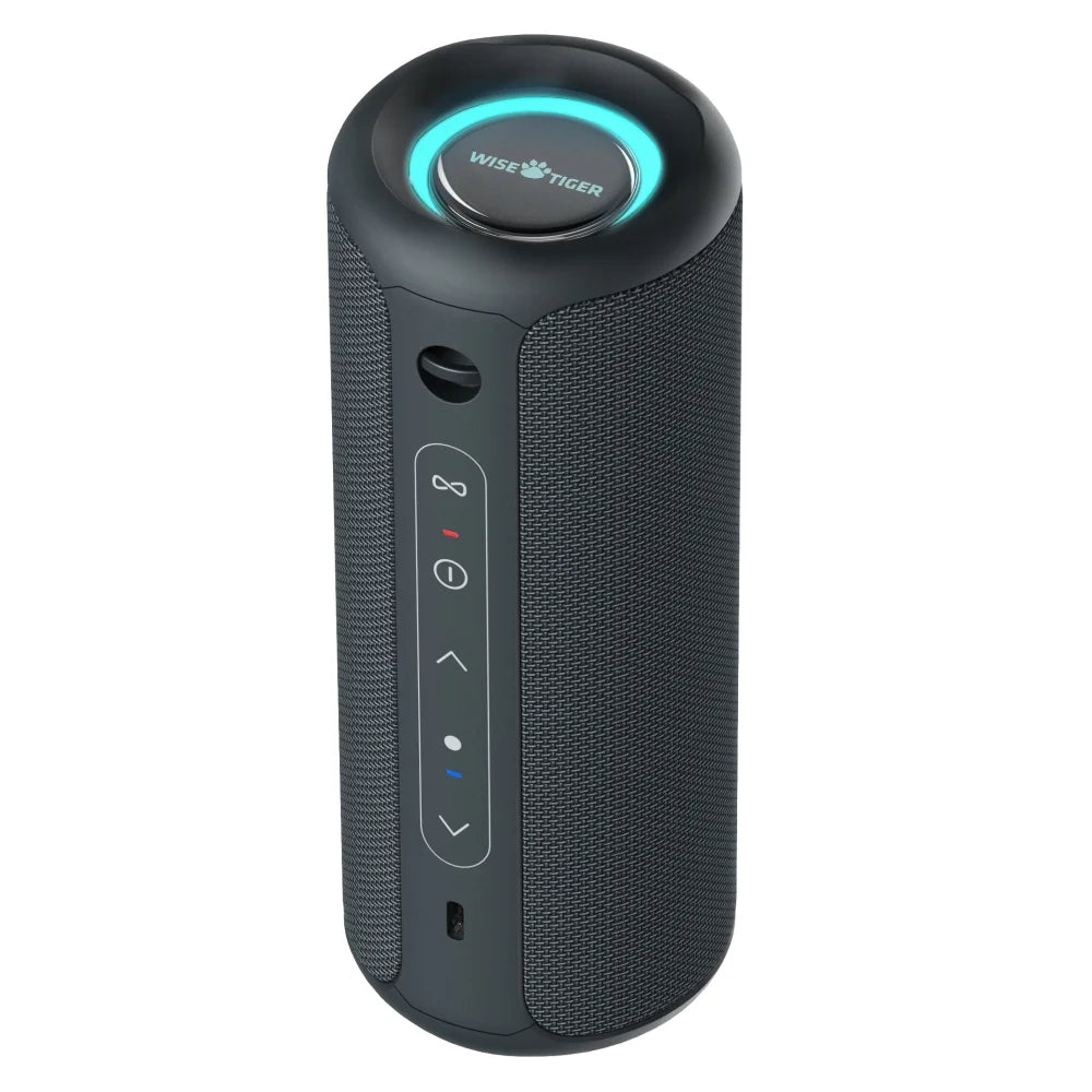 WISETIGER P3 Portable Bluetooth Speaker