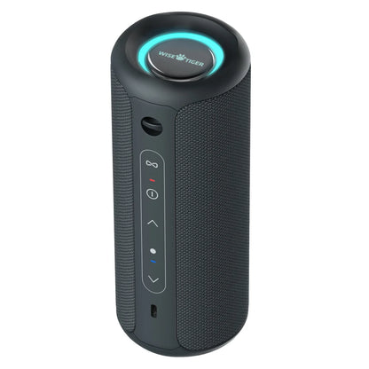 WISETIGER P3 Portable Bluetooth Speaker